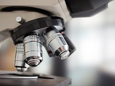 Laboratory Services