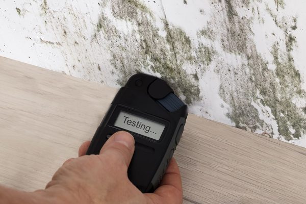 Mold Services